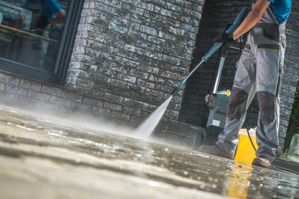 Best House Exterior Washing  in Metamora, IL