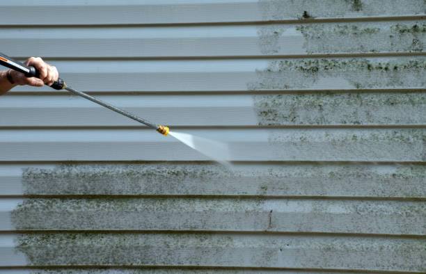 Best Fence Cleaning  in Metamora, IL