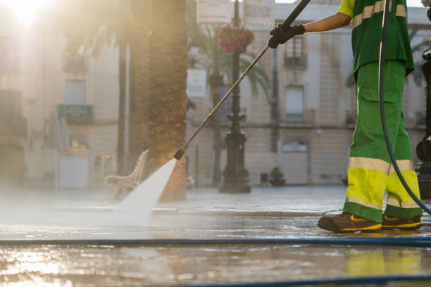 Best Solar Panel Cleaning  in Metamora, IL